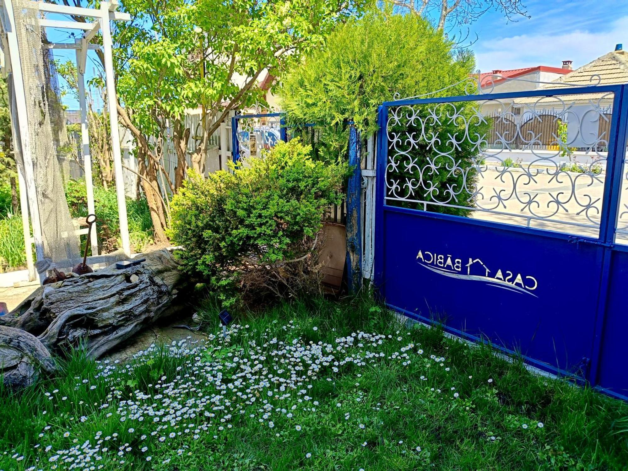 Casa Babica Guesthouse Костинешти Экстерьер фото